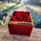 Braver Name - Daughter Birthday Necklace with Rose Box
